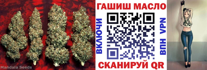 гидра ссылка Переславль-Залесский Дистиллят ТГК THC oil