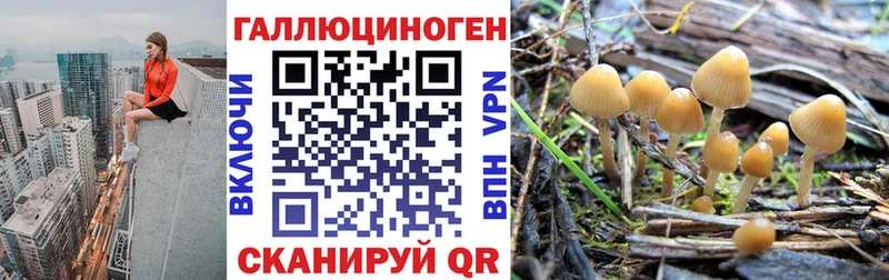 Псилоцибиновые грибы GOLDEN TEACHER  что такое наркотик  ОМГ ОМГ рабочий сайт  Переславль-Залесский 